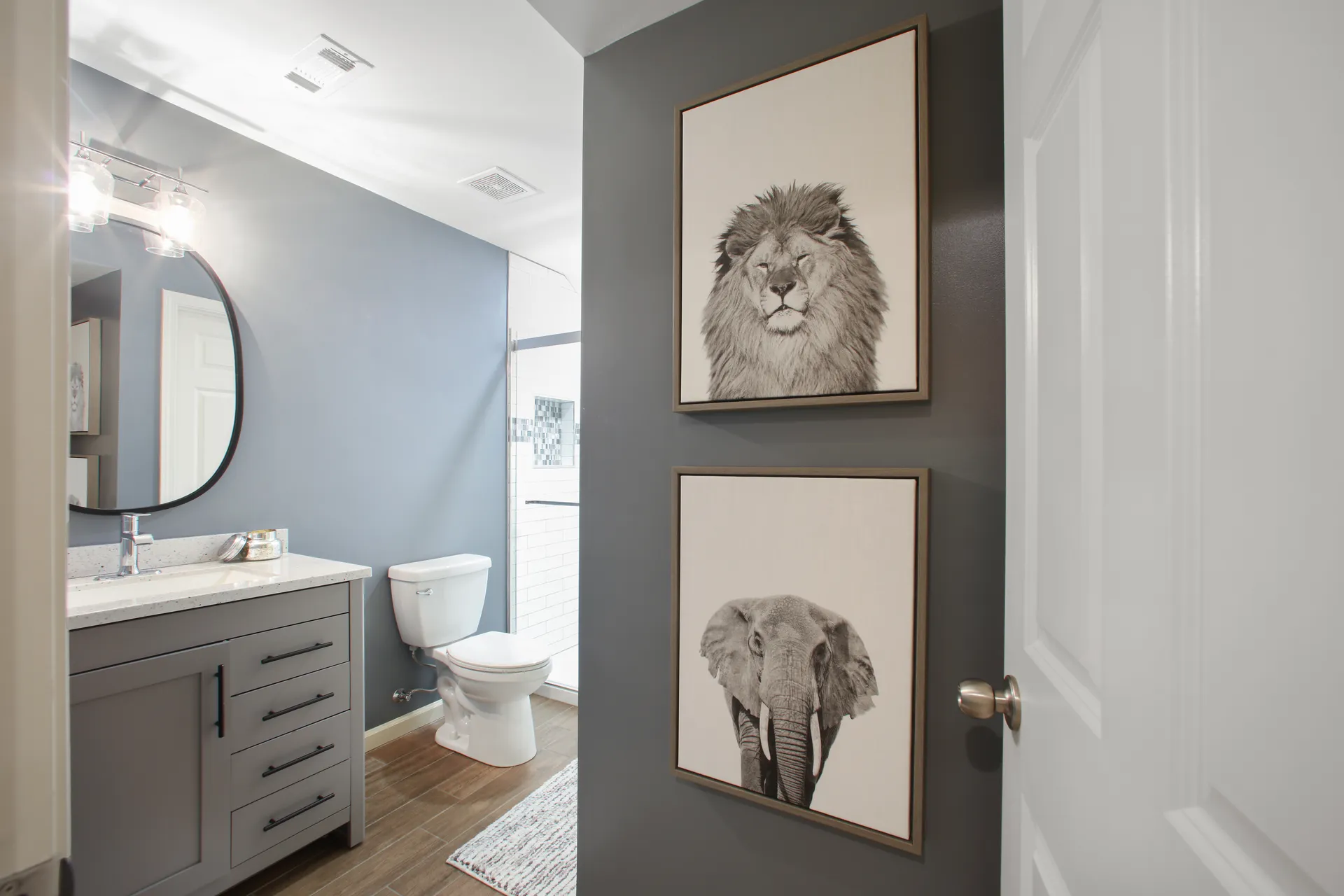 Vanity — Johns Creek bathroom remodel by HomeVantage